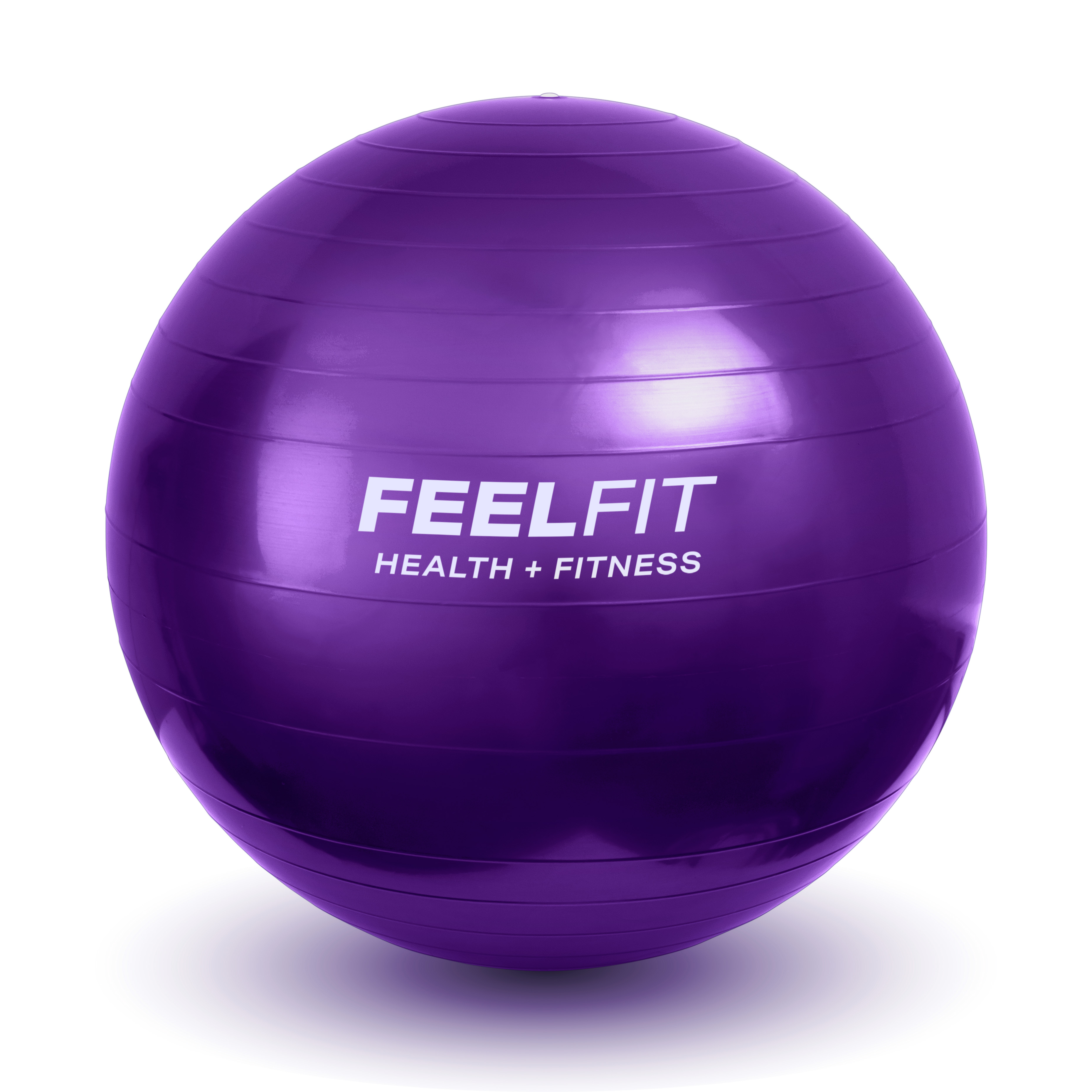 Exercise Gym Ball Swiss Pilates Yoga Core Training ...