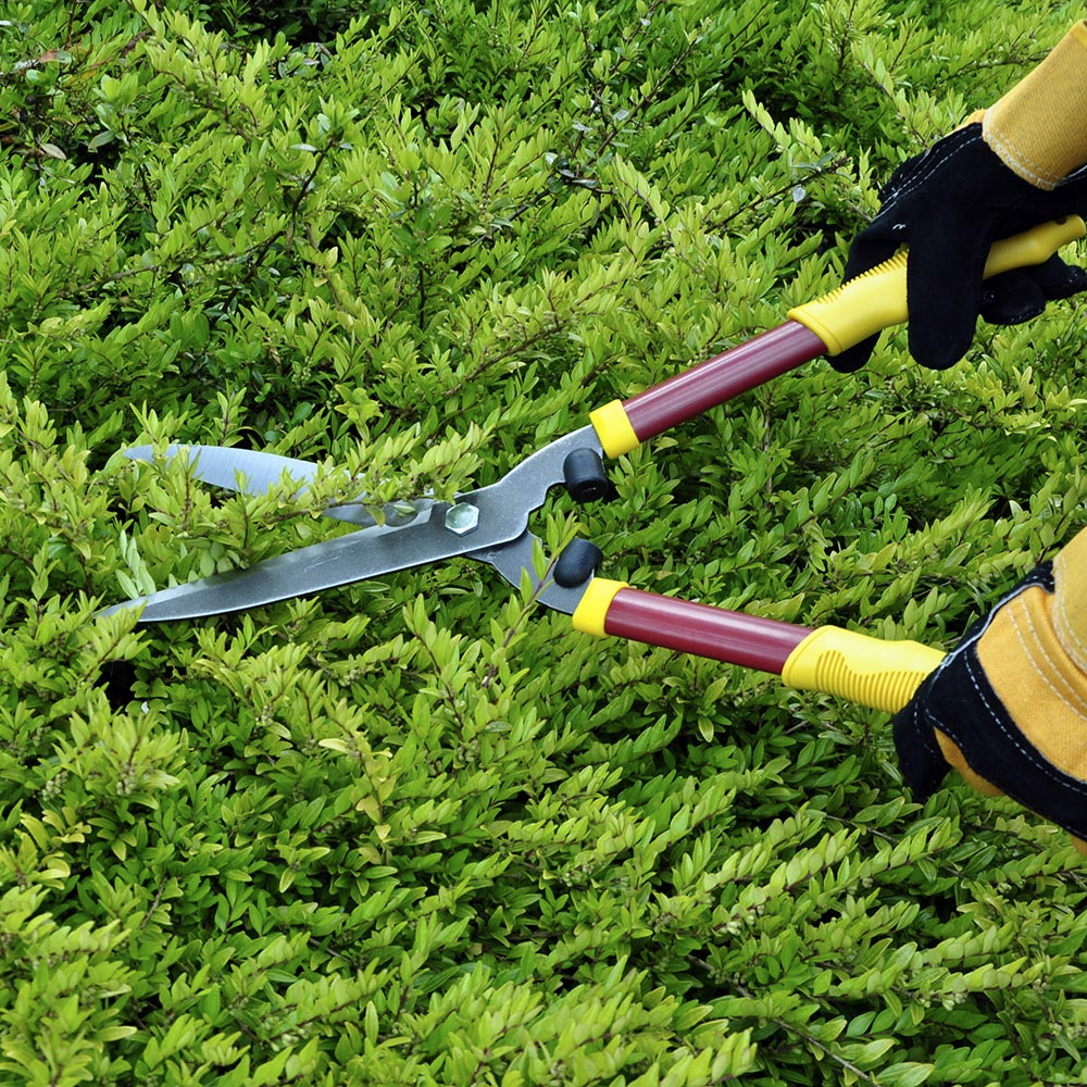 Long Handled Lopper Shears & Secateur Garden Hedge Lawn Thorn Trimming ...