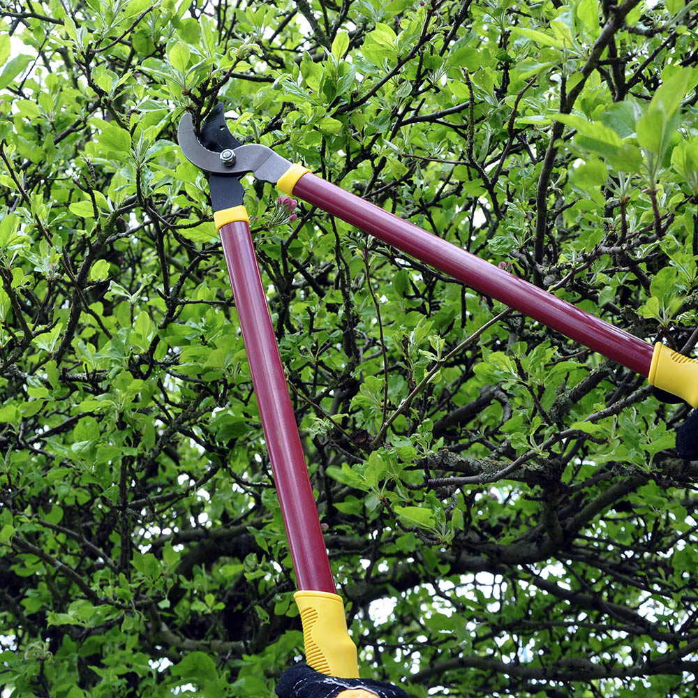 Long Handled Lopper Shears & Secateur Garden Hedge Lawn Thorn Trimming ...